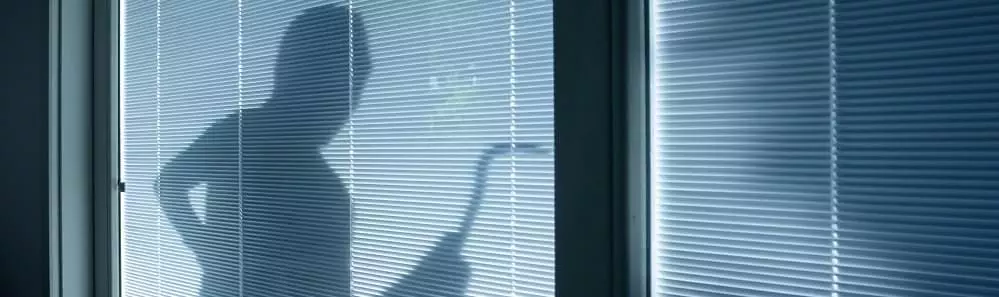 blogdefense Burglar wearing a balaclava looking through house window.